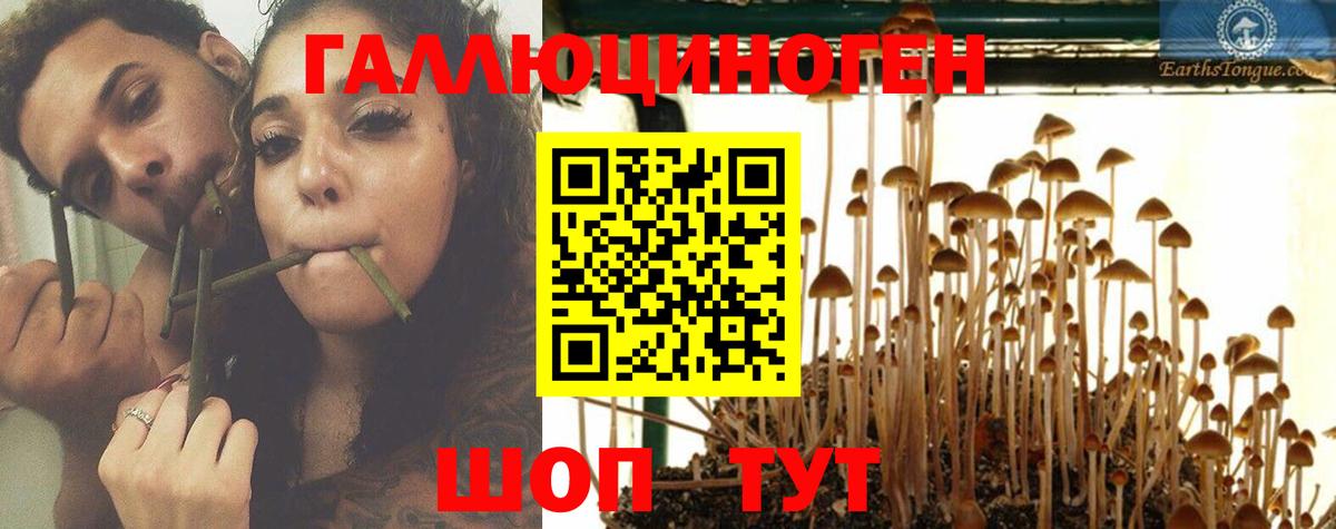 Псилоцибиновые грибы Psilocybine cubensis  Вход с VPN  наркошоп  Кандалакша 